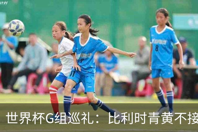世界杯G组巡礼：比利时青黄不接 伊朗赴美参赛风波不断